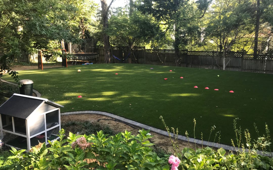 Backyard artificial turf